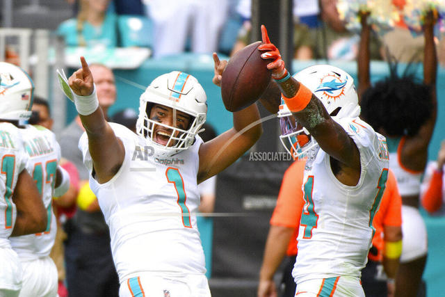 CBS 4's Steve Goldstein: Red hot Dolphins to face Houston Texans - CBS Miami