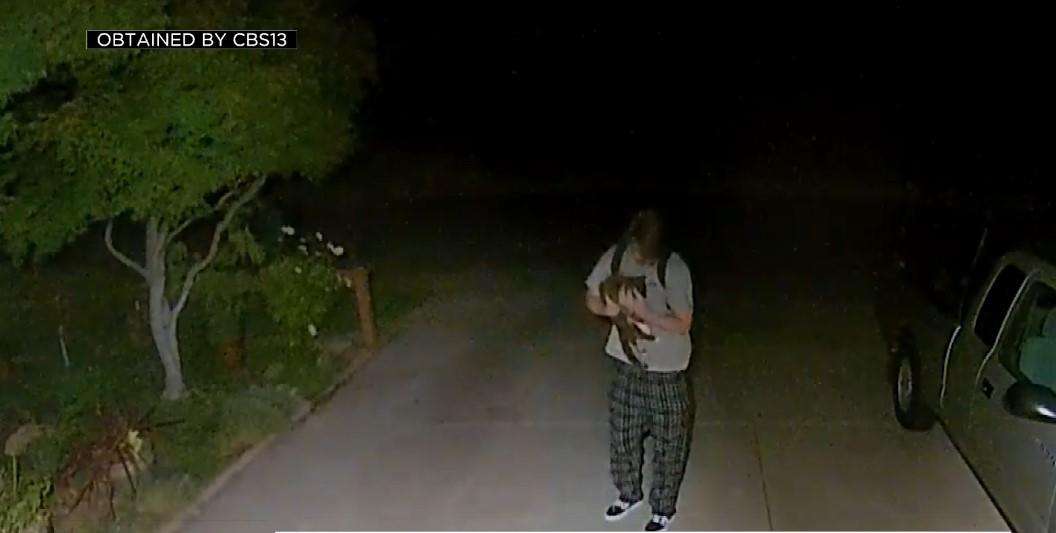 Petition for strict prosecution of alleged Orangevale cat killer