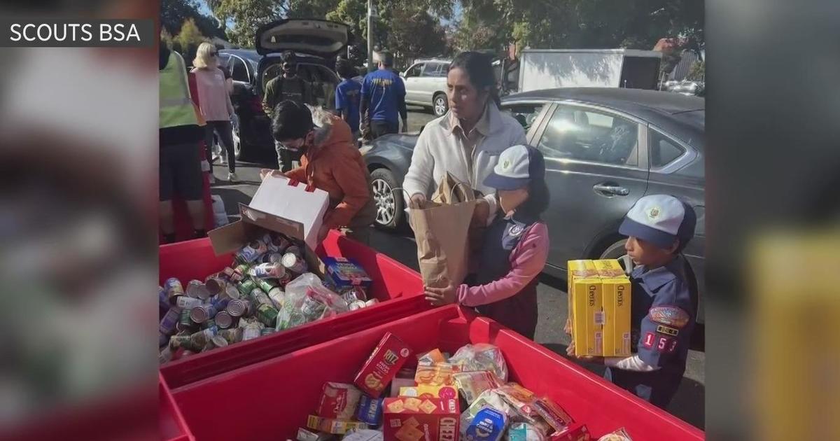 Food For Bay Area Families: Boy Scout Troop Comes Up Big On Food ...