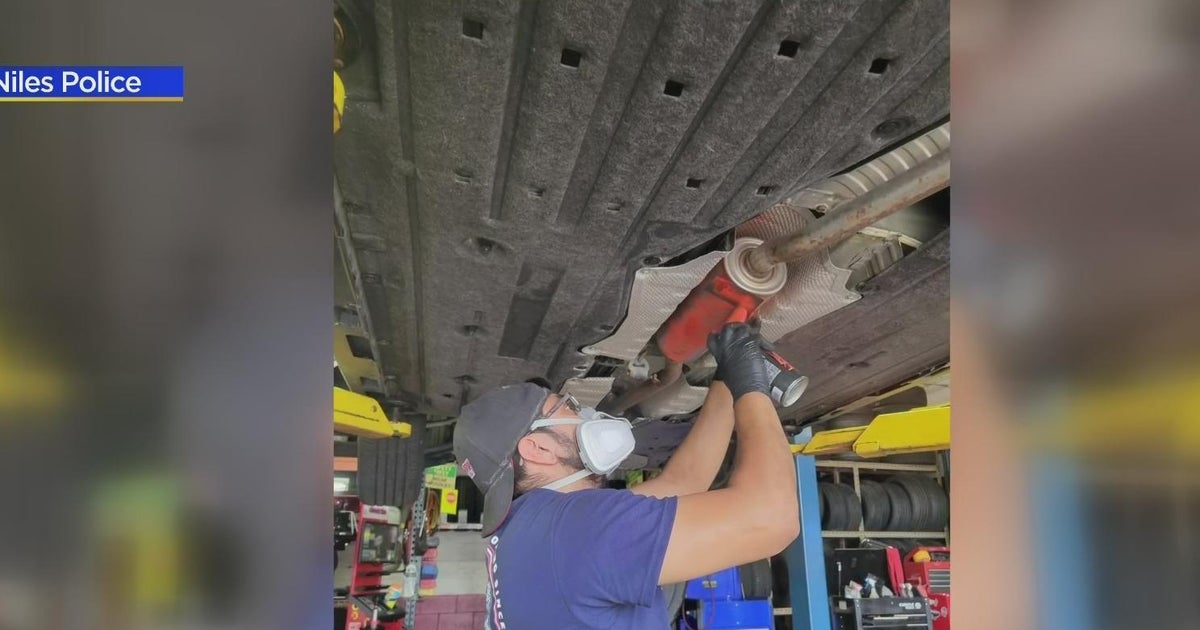 Cook Co. hosts catalytic converter spraypaint event CBS Chicago