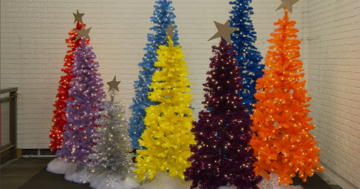 First ever State Street Holiday Market opens in the Loop CBS Chicago