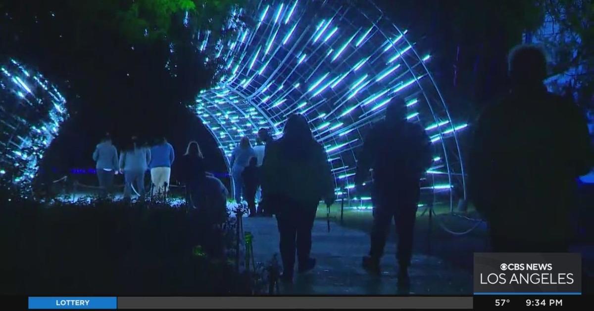 LA Arboretum Lightscape shines CBS Los Angeles