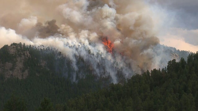 wildfires.jpg 
