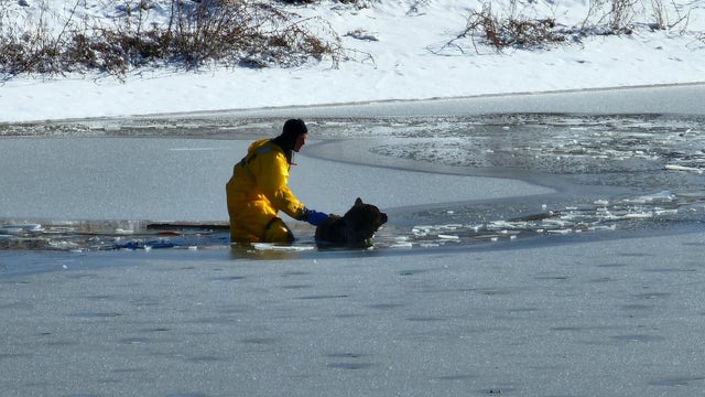 dog-in-ice-3-evans-fire-protection-district-on-fb.jpg 