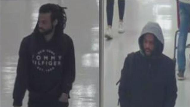 Chicago Downtown Thefts 