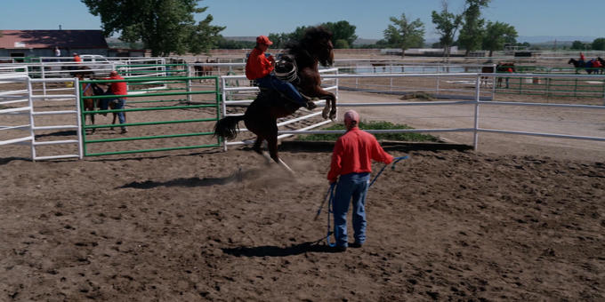 The Wyoming Honor Farm: Transforming men and mustangs 