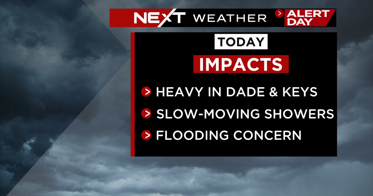 Miami Weather conditions: Warn Working day declared owing to deluge of rain