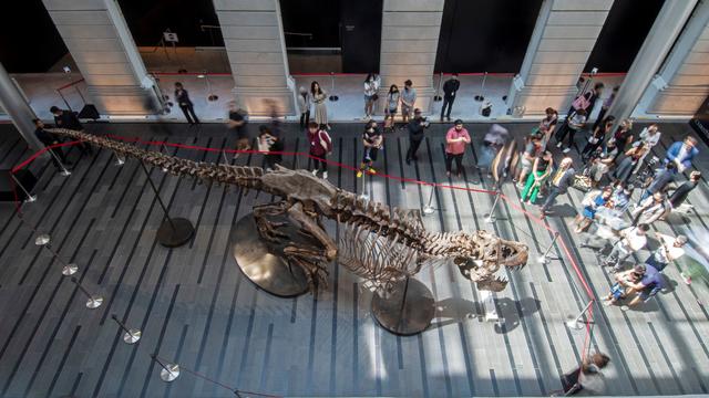 Controversial T. rex skeleton auction scrapped in Hong Kong