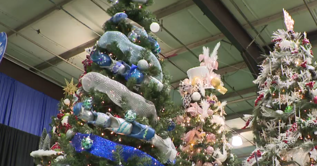 Where's Marty? At the Maryland State Fairgrounds for the Festival of Trees CBS Baltimore