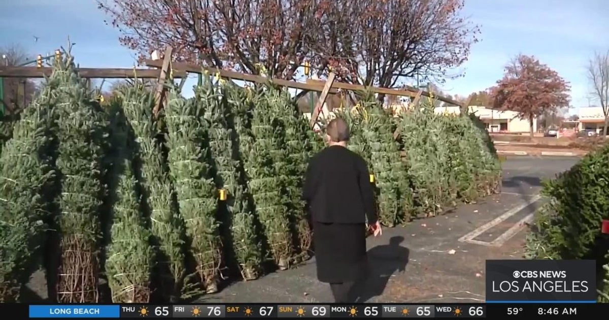 Plenty of Christmas trees; prices may be higher due to inflation CBS Los Angeles