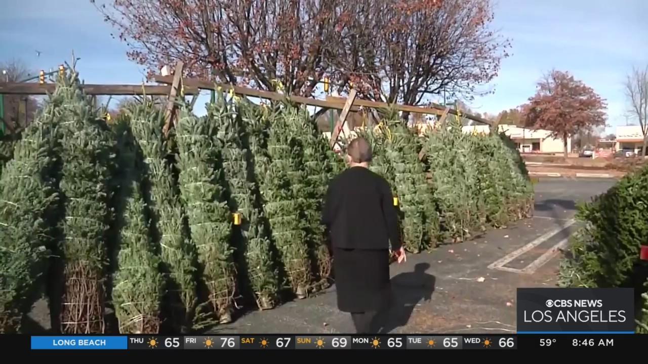 How inflation could affect the price of your Christmas tree