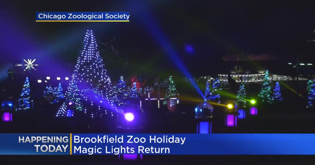 Holiday Magic lights return to Brookfield Zoo CBS Chicago