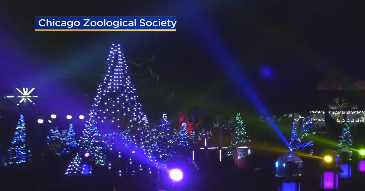 Holiday Magic Brookfield Zoo CBS Chicago