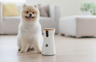furbo-header.png 