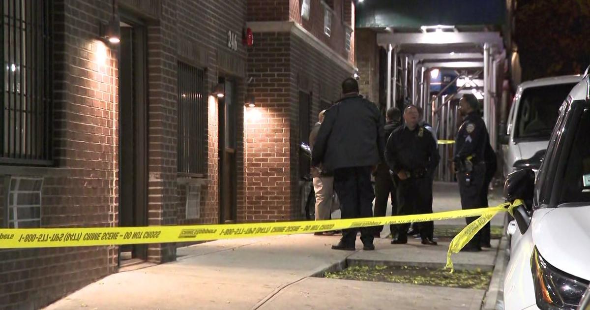 Police: 11-month-old, 3-year-old Fatally Stabbed In The Bronx, Mother ...