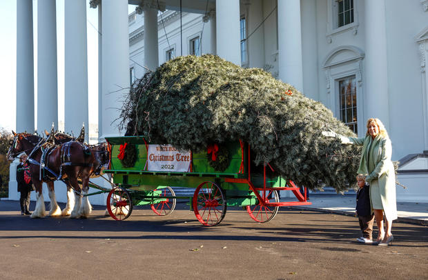 U.S. first lady Jill Biden receives the official 2022 White House Christmas Tree at the White House in Washington 