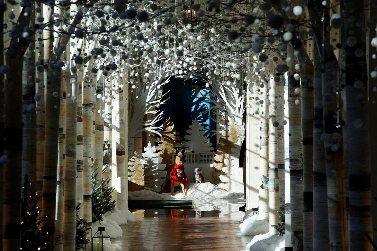 Christmas decorations on the theme "We the People" are unveiled at the White House 