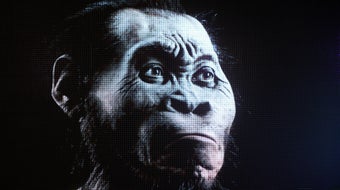 Pre-human ancestor believed to have used fire as a tool, researchers say 