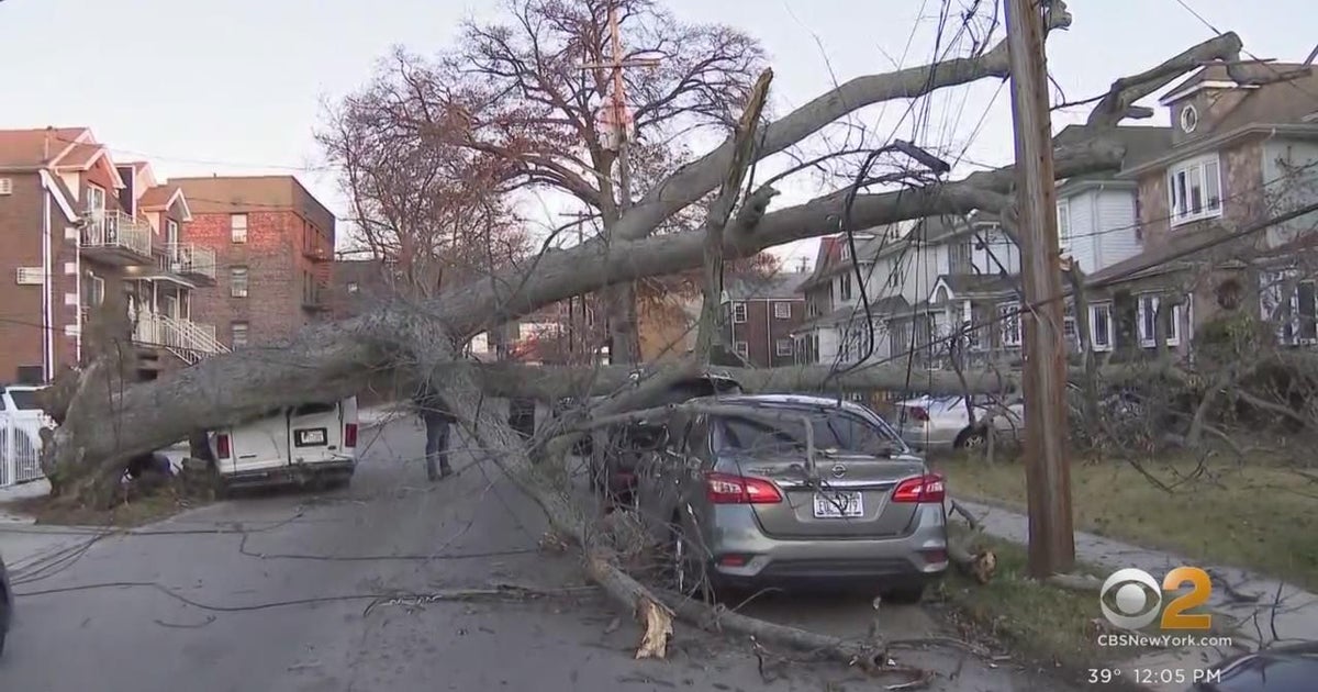 Tree falls in Queens, crushes van - CBS New York
