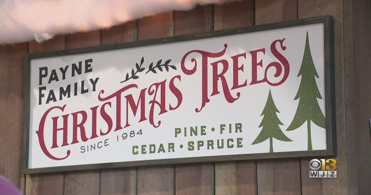 Pluto TV surprises shoppers with free Christmas trees in Elkridge CBS