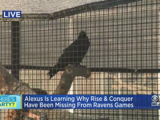 WBAL-TV 11 Baltimore on X: Dozens of @Ravens legends will be at Sunday's  game to reflect on the organization's past, its bright future and to  remember such unforgettable moments as the franchise