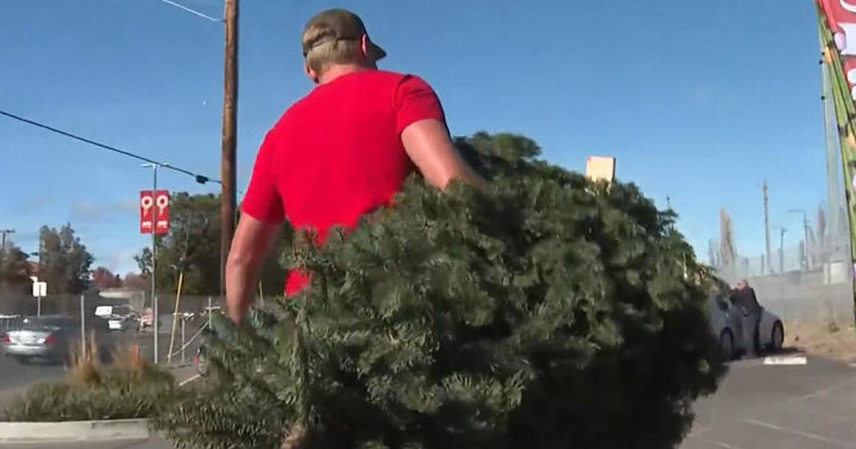 Inflation drives up prices at Bay Area Christmas tree lots CBS San