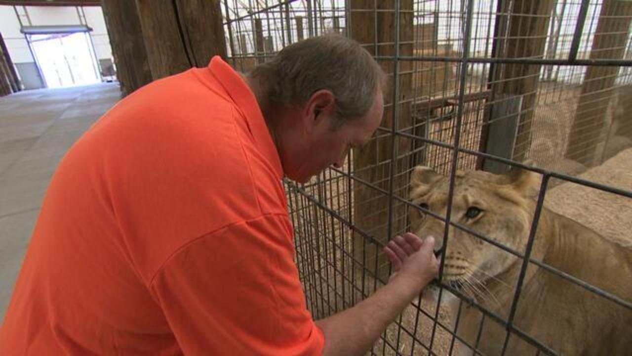 Patt Craig's quest to rescue wild animals turned into pets - CBS News