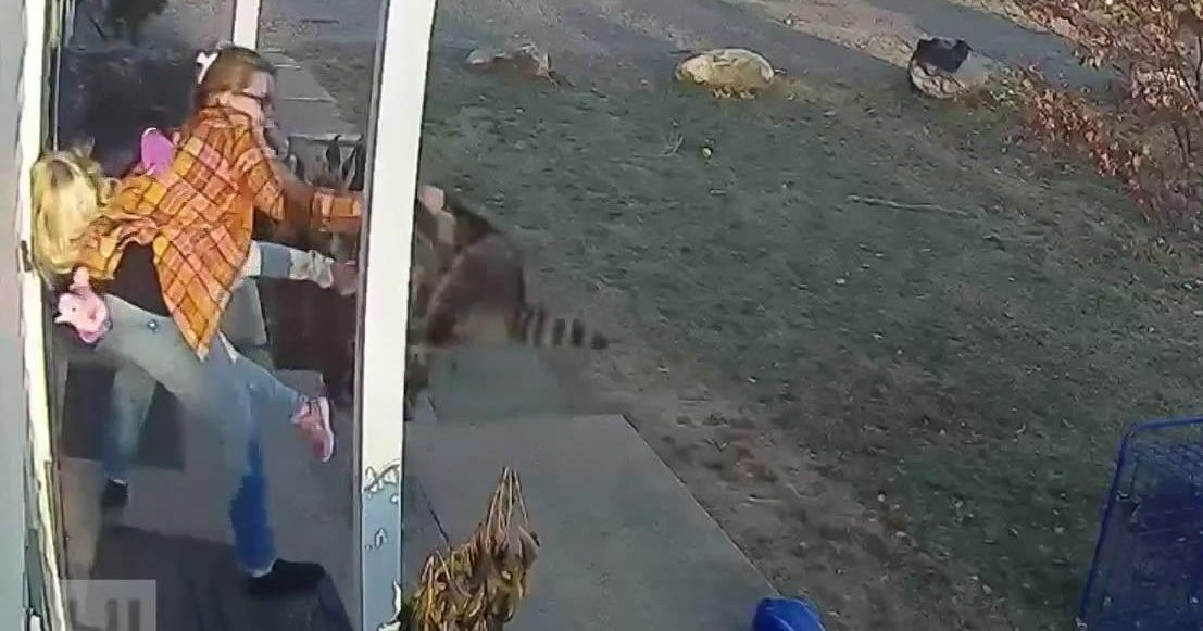 Mom wrestles rabid raccoon away from daughter's leg CBS Sacramento(01)