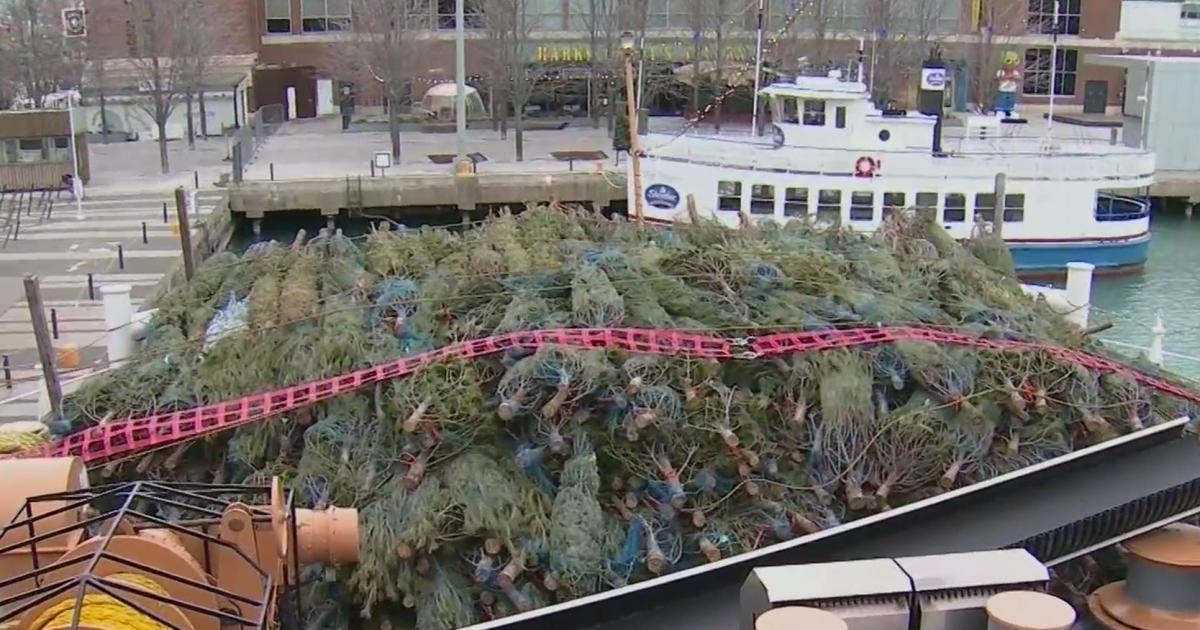 Chicago's Christmas tree ship is back at Navy Pier CBS Chicago