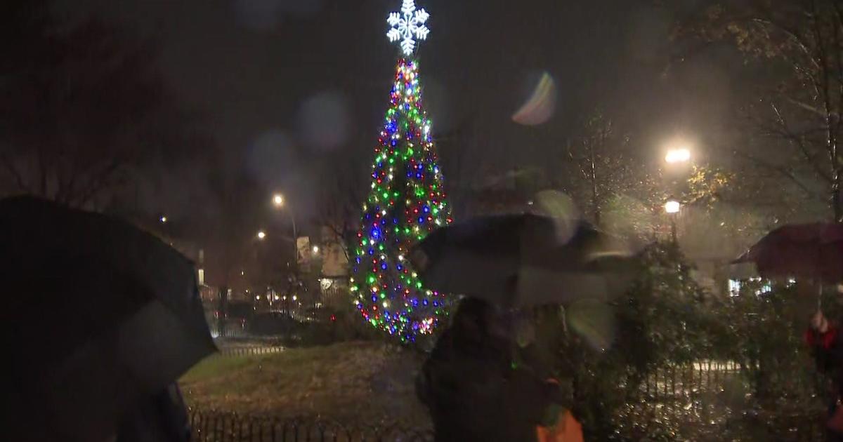 Rain doesn't keep Bronx residents away from Little Italy Christmas tree