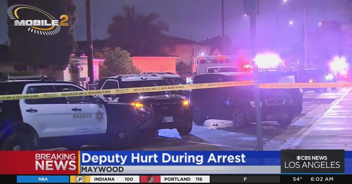 Deputy Injured In Struggle With Stolen-vehicle Suspect In Maywood: Lasd 