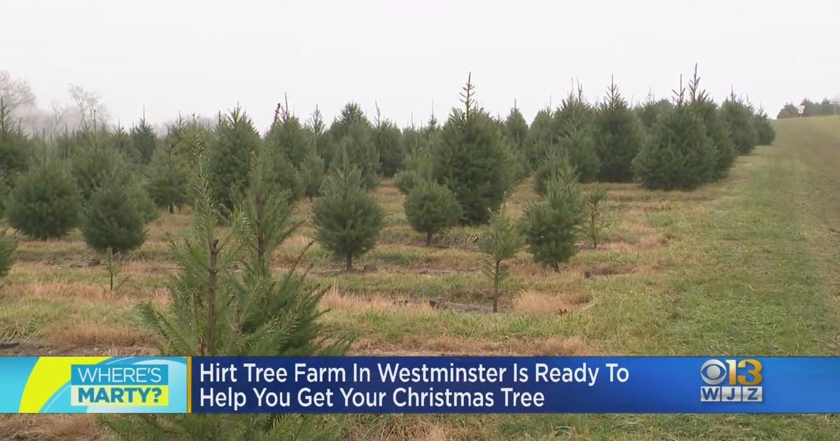 Where's Amy? Learning more about the history of Hirt Tree Farm, a