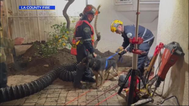 la-county-fire-saves-dog.jpg 