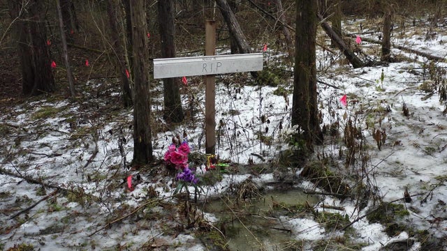 Mengqi memorial at tree 