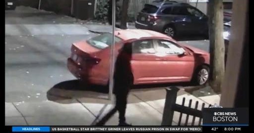 Woman attacked while walking dog in Cambridge - CBS Boston