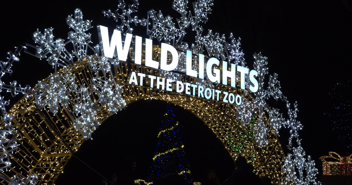 Detroit Zoo’s “Wild Lights” up until first week of January