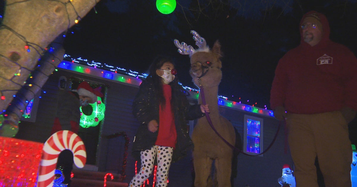 Community helps girl's wish for a magical Christmas display come true