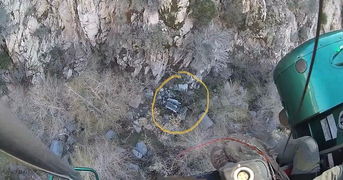 Dramatic video shows 2 people being rescued after surviving drop into canyon