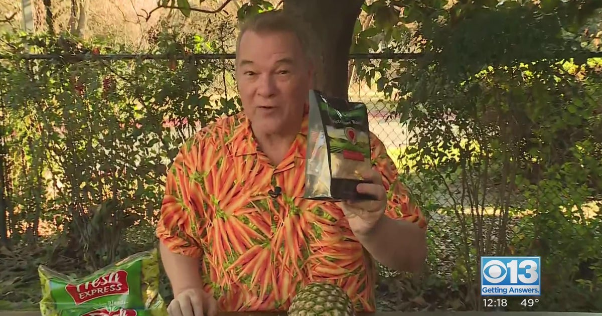 Lunch Break: Salad, pineapples, and green beans