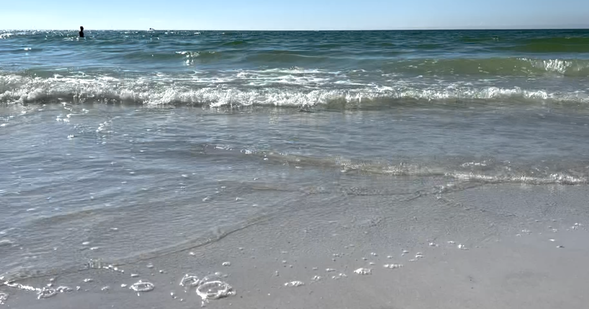 Gov. DeSantis signed evaluate that extends pink tide mitigation work Gov. DeSantis signed evaluate that extends pink tide mitigation work