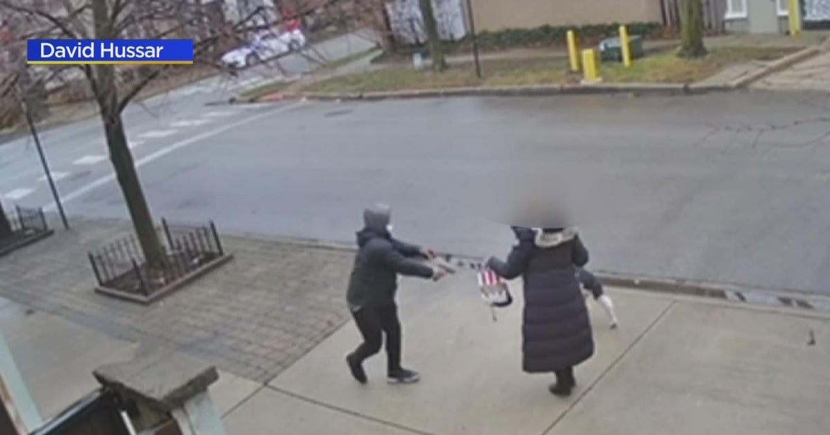 Woman robbed at gunpoint while walking her dog in Lincoln Park - CBS ...