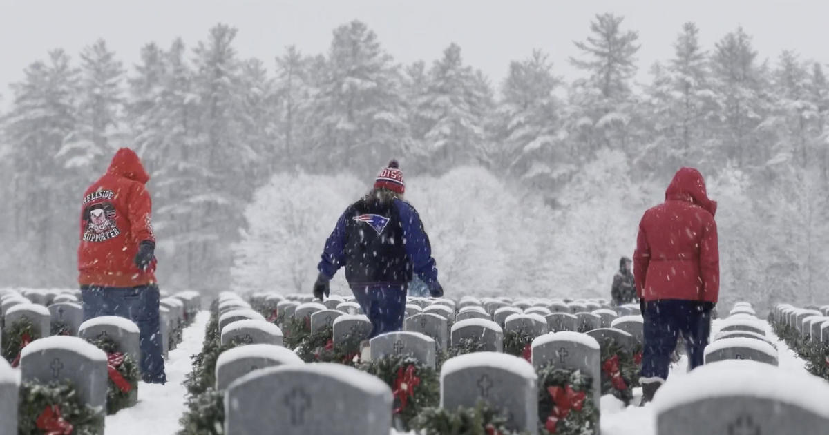 How is veterans day celebrated in the us