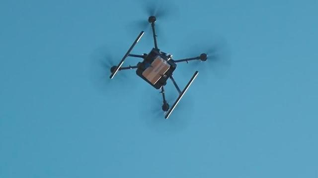 walmart-drones.jpg 
