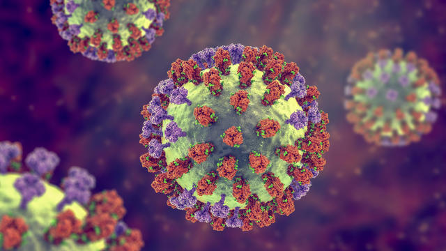 Flu virus, illustration 