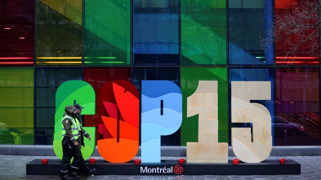 FILE PHOTO: COP15, the two-week U.N. Biodiversity summit in Montreal 
