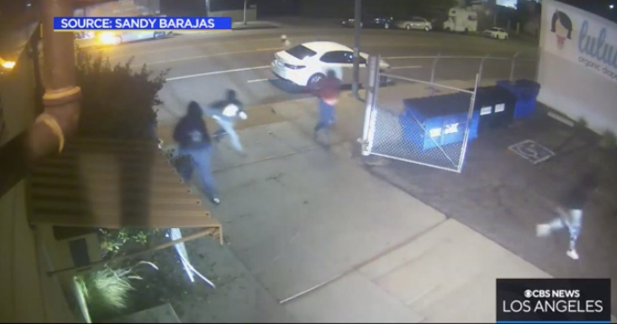 Caught on Camera: Group of thieves accidentally break into Alhambra ...