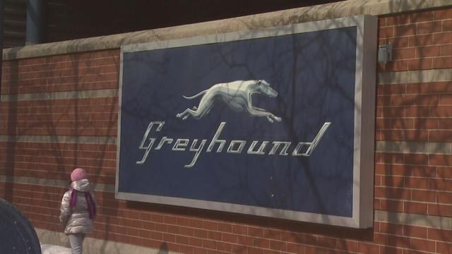 greyhound.jpg 