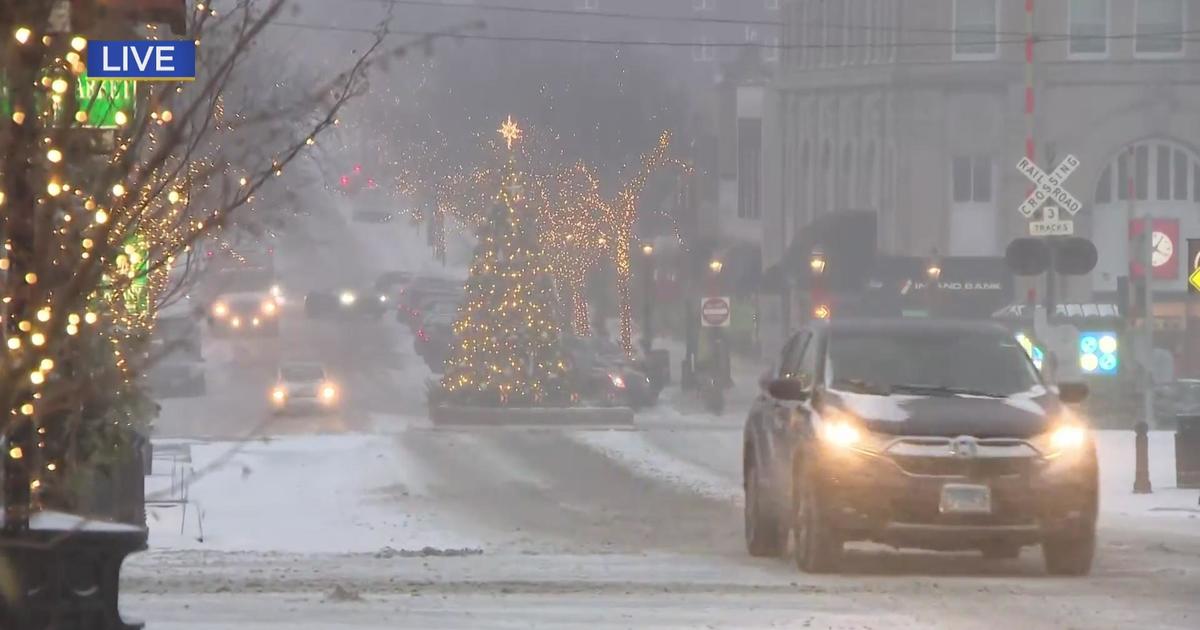 Winter storm busiest time for Glen Ellyn small businesses - CBS Chicago