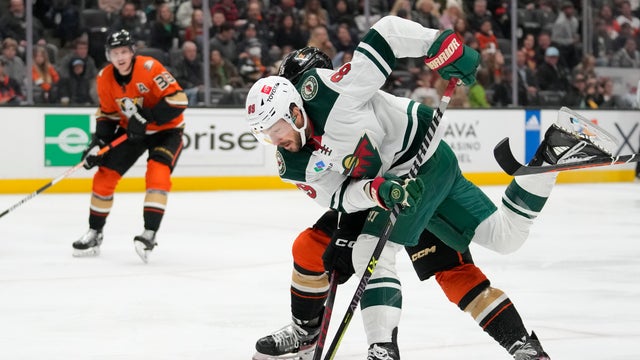 Wild Ducks Hockey 