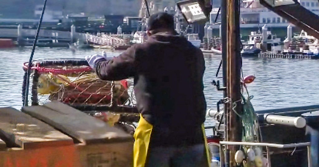 Commercial Dungeness crab fishing season set to open Dec. 31 CBS San